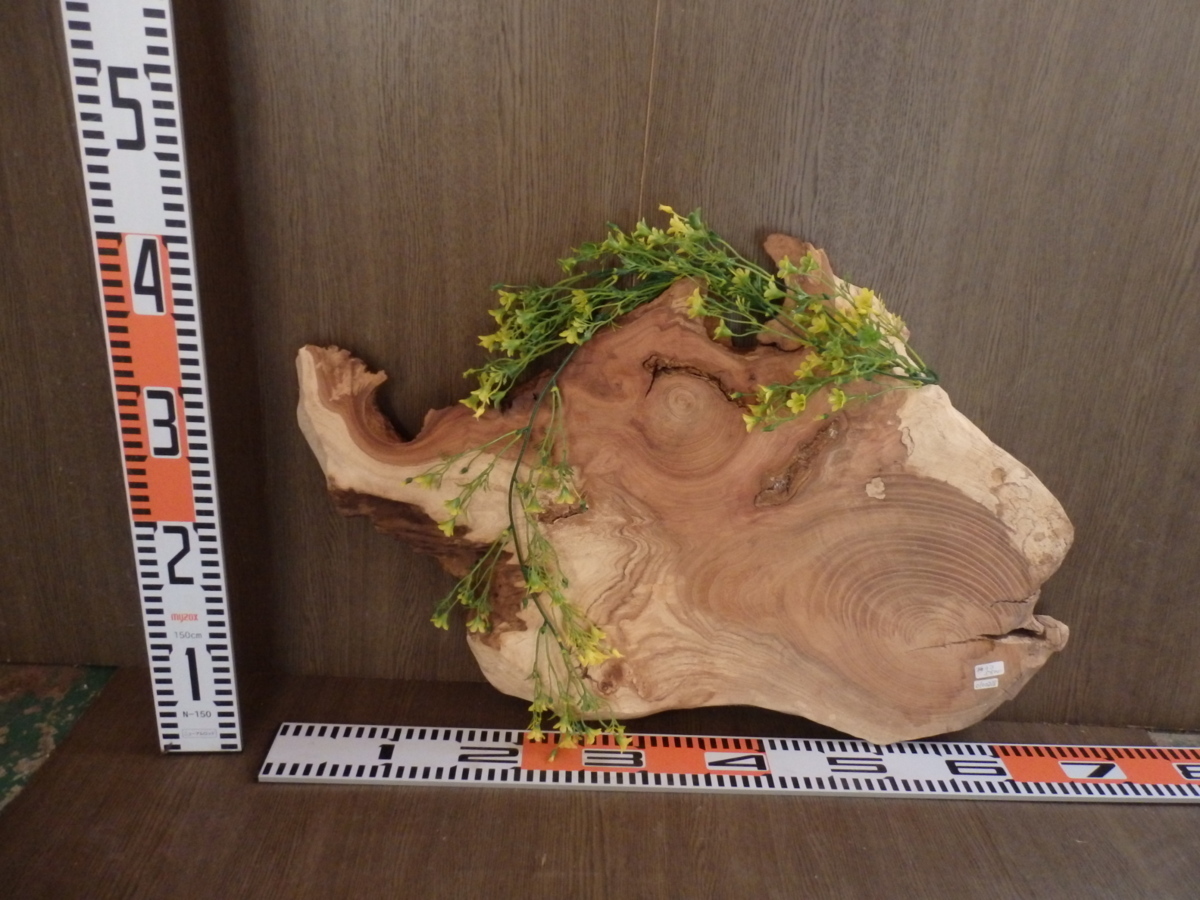 0100218 タコ欅●42.5cm×66cm×厚3cm☆無垢板１枚板 木材 板 DIY 板材 天板 棚板 テーブル 看板 花台など種類豊富！