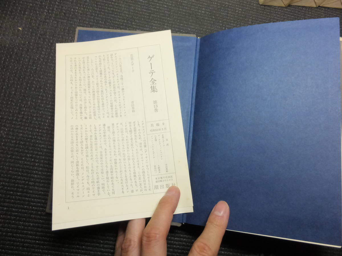 ゲーテ全集！全17冊とゲーテ読本全18冊揃い！ 検ハイネドイツ文学