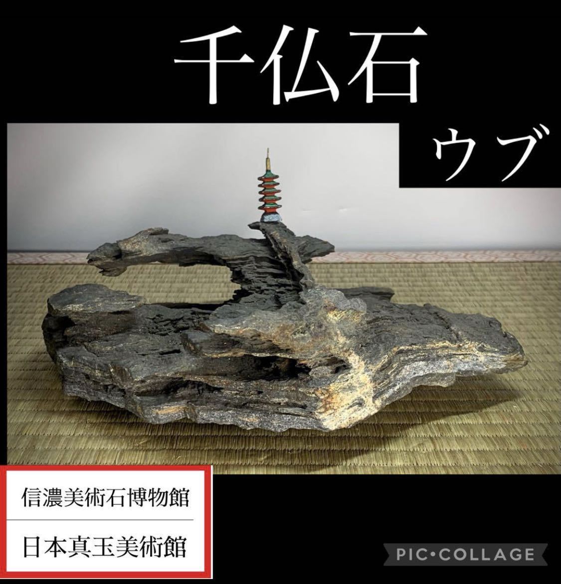 【秋の大感謝祭】水石盆栽 千仏石 ウブ 横21×高5×奥行19(cm) 1.4kg骨董盆石鑑賞石観賞石太湖石 4857