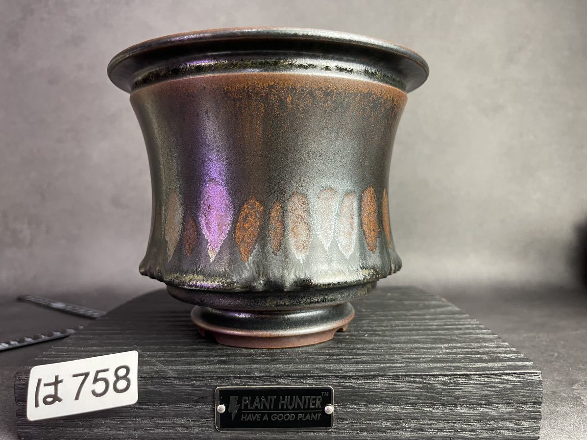 は758 LLサイズ 植木鉢 陶器 検（亀甲竜 塊根植物 アガベ パキプス 多肉植物 SRL 信楽焼 伝市鉢カタチ製作所 グラキリス 韓国苗 invisible 