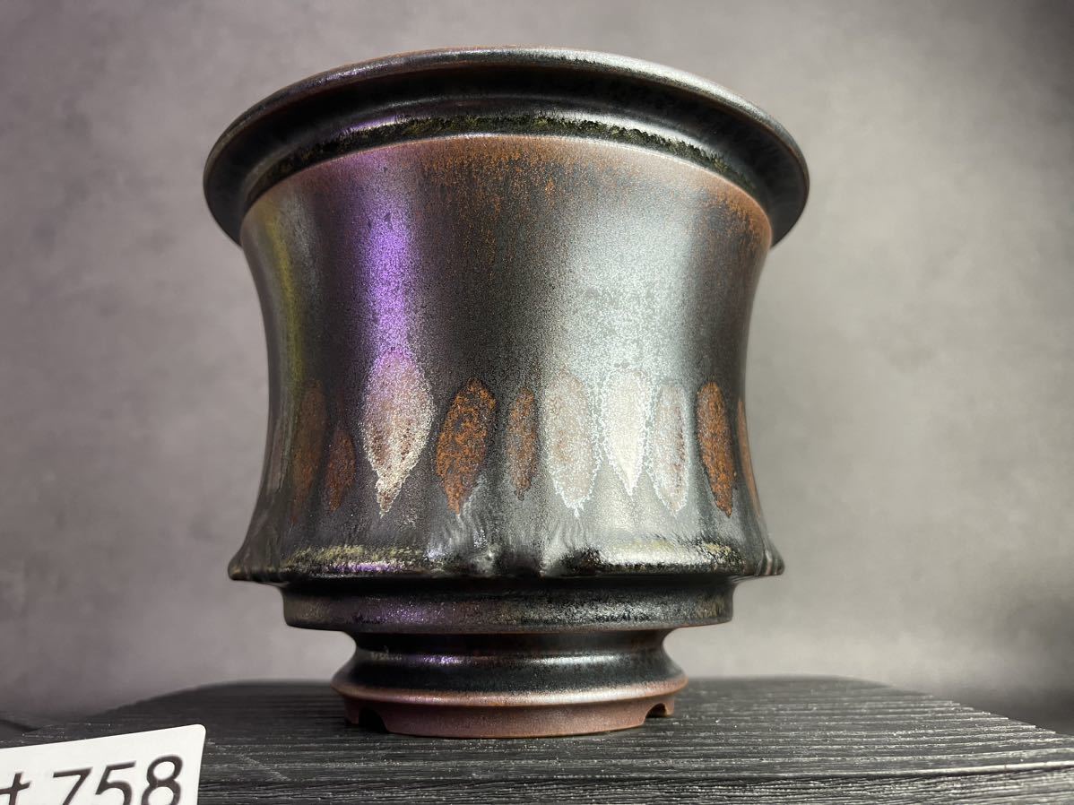 は758 LLサイズ 植木鉢 陶器 検（亀甲竜 塊根植物 アガベ パキプス 多肉植物 SRL 信楽焼 伝市鉢カタチ製作所 グラキリス 韓国苗 invisible 