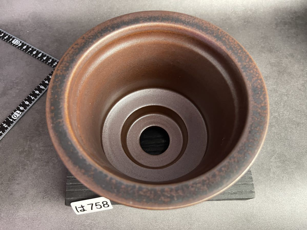 は758 LLサイズ 植木鉢 陶器 検（亀甲竜 塊根植物 アガベ パキプス 多肉植物 SRL 信楽焼 伝市鉢カタチ製作所 グラキリス 韓国苗 invisible 