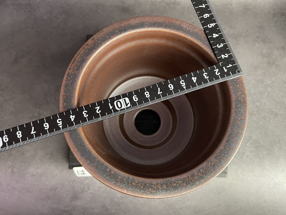 は758 LLサイズ 植木鉢 陶器 検（亀甲竜 塊根植物 アガベ パキプス 多肉植物 SRL 信楽焼 伝市鉢カタチ製作所 グラキリス 韓国苗 invisible 