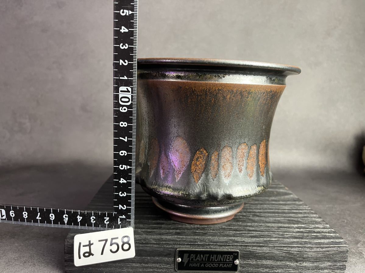 は758 LLサイズ 植木鉢 陶器 検（亀甲竜 塊根植物 アガベ パキプス 多肉植物 SRL 信楽焼 伝市鉢カタチ製作所 グラキリス 韓国苗 invisible 