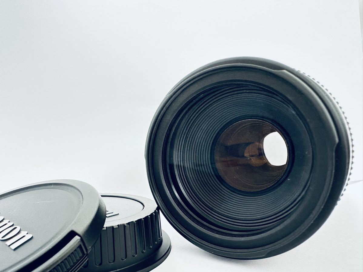 EF 90-300mm Canon ズームレンズ ❤❤️キャノン F4.5-5.6USM超望遠 【極上