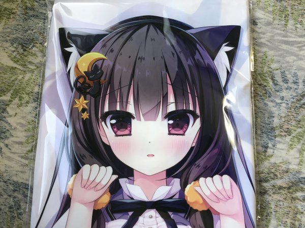 Z 正規品 ライクトロン 抱き枕カバー 愛莉(師走ほりお) C95/二十極秘屋 