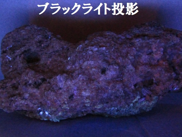 超希少 南極の石 6億年前 宝石 鉱物 第27次南極観測 砕氷艦 しらせ