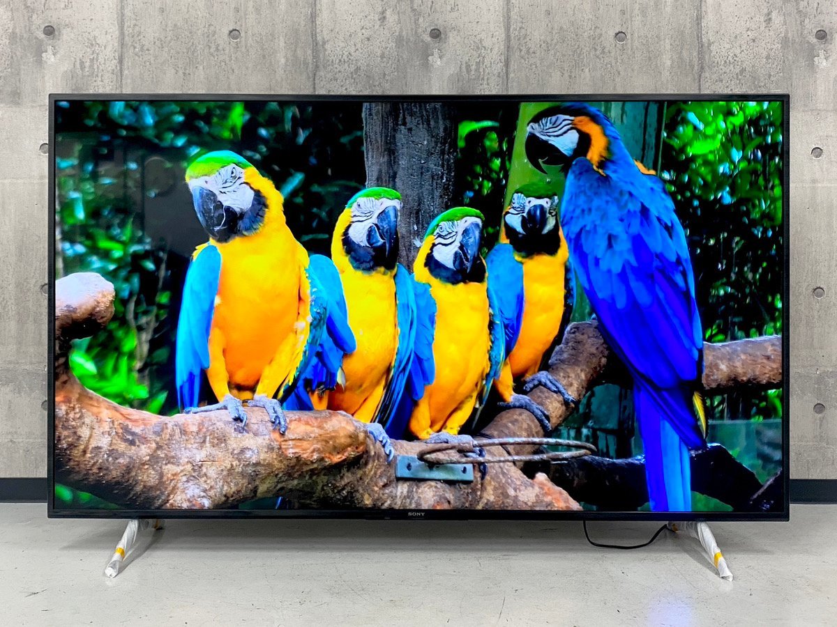  Y-11029RMK107Y4YY23N SONY BRAVIA 65V型液晶テレビ KJ-65X80J 2022年製 ソニー ブラビア 直接引取可能 インボイス制度対応(液晶)｜売買されたオークション情報、yahooの商品情報をアーカイブ公開 - オーク 液晶