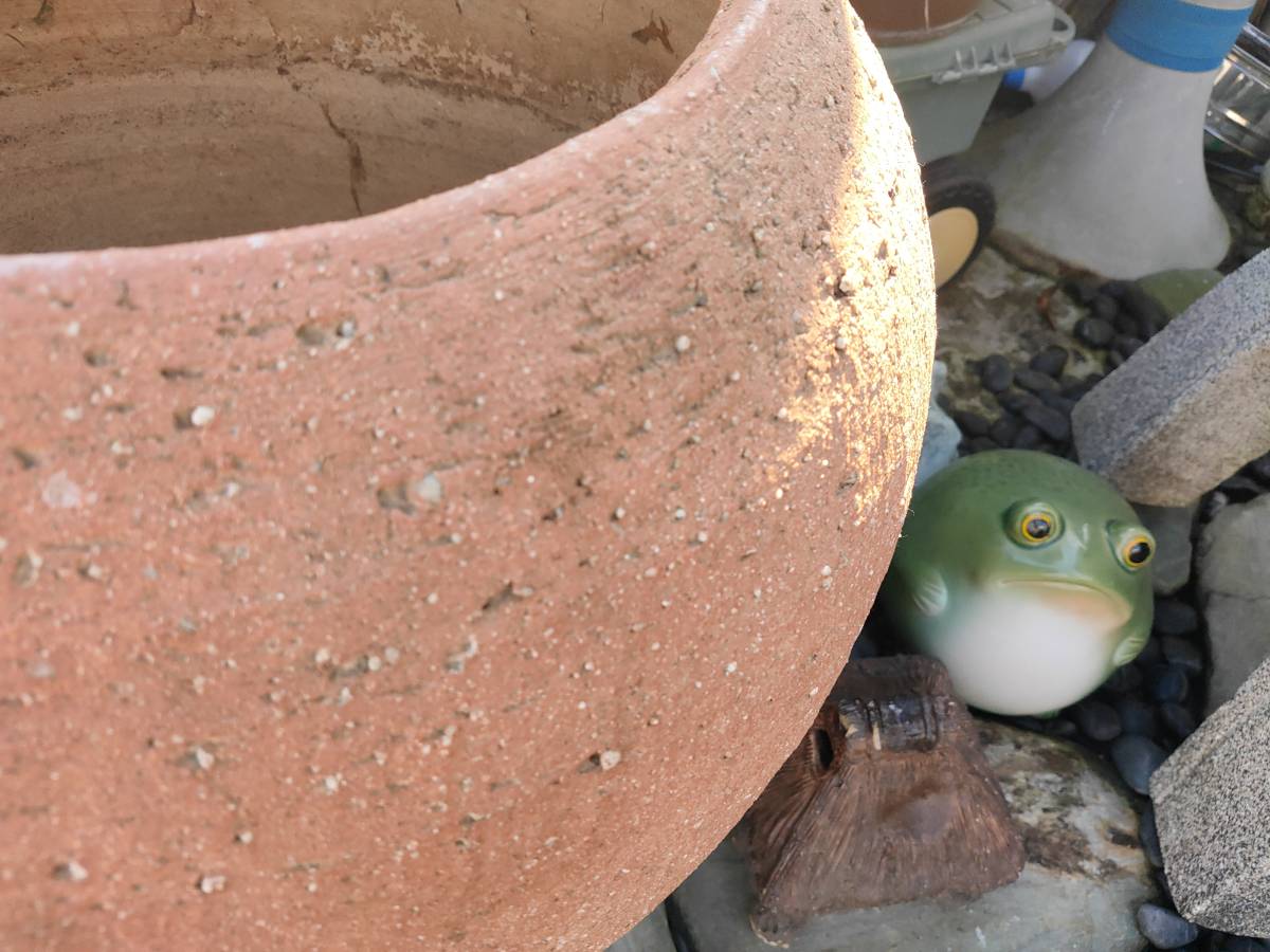 激レア　陶器　水鉢　水槽　亀　メダカ　庭　ガーデニング Y 注文 激レア 陶器 水鉢 水槽 亀 メダカ 庭 ガーデニング Y