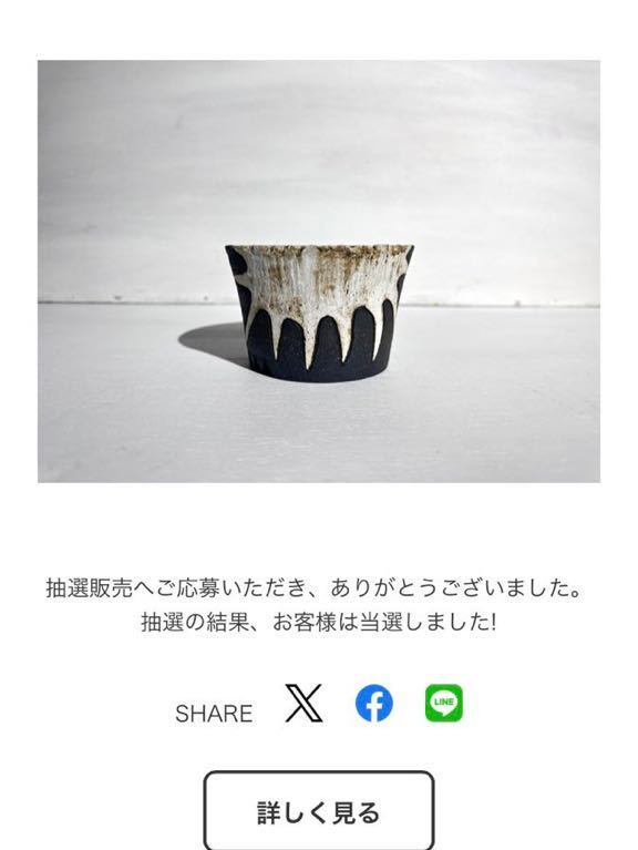 インビジブルインク MUD N DUST FRAGILES 