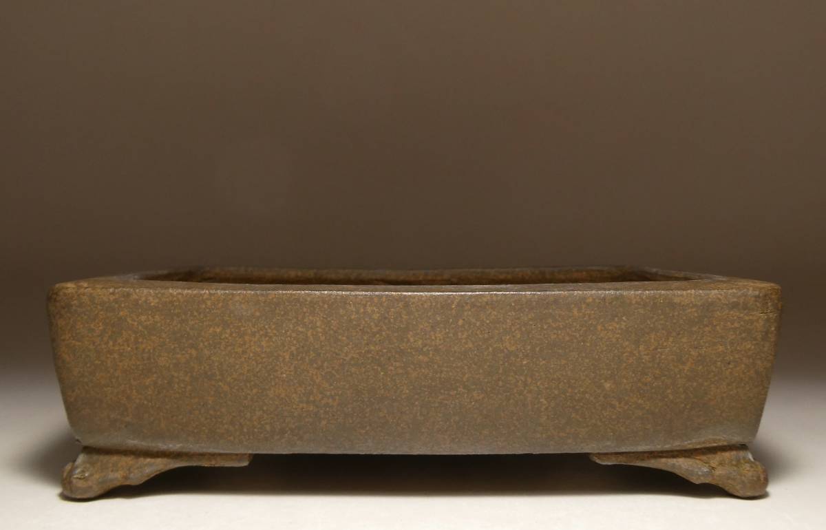 s1078503005.1