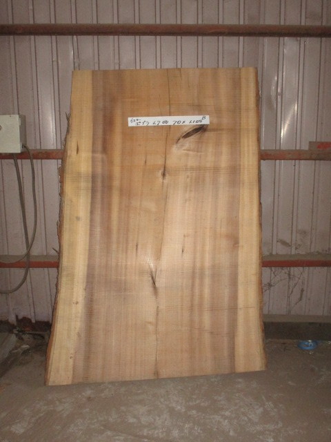 N　イエローポプラB　倉庫整理品　処分品　埃品　まとめ売り　100円スタート　売り切り　