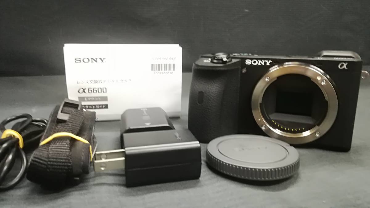 美品♪SONY ソニー α6600 ILCE-6600 ボディ 2420万画素 ミラーレス