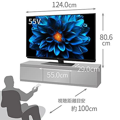 AQUOS シャープ 4K 液晶テレビ 4T-C55DN1 | 55V型 - [55インチ] 価格 