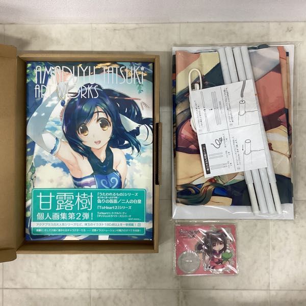 1円〜 内未開封 アクアプラス 甘露樹画集 AMADUYU TATSUKI ART WORKS