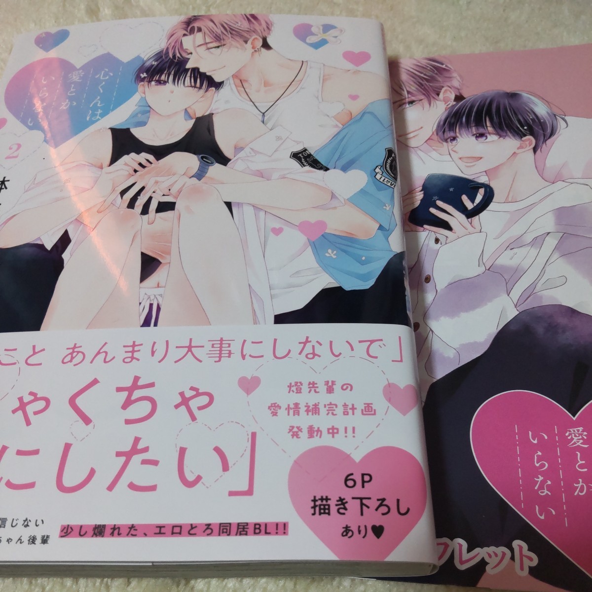 ☆心くんは愛とかいらない ２ アニメイト特典(リーフレット)付☆鉢野うら★3/5新刊・美品★_1