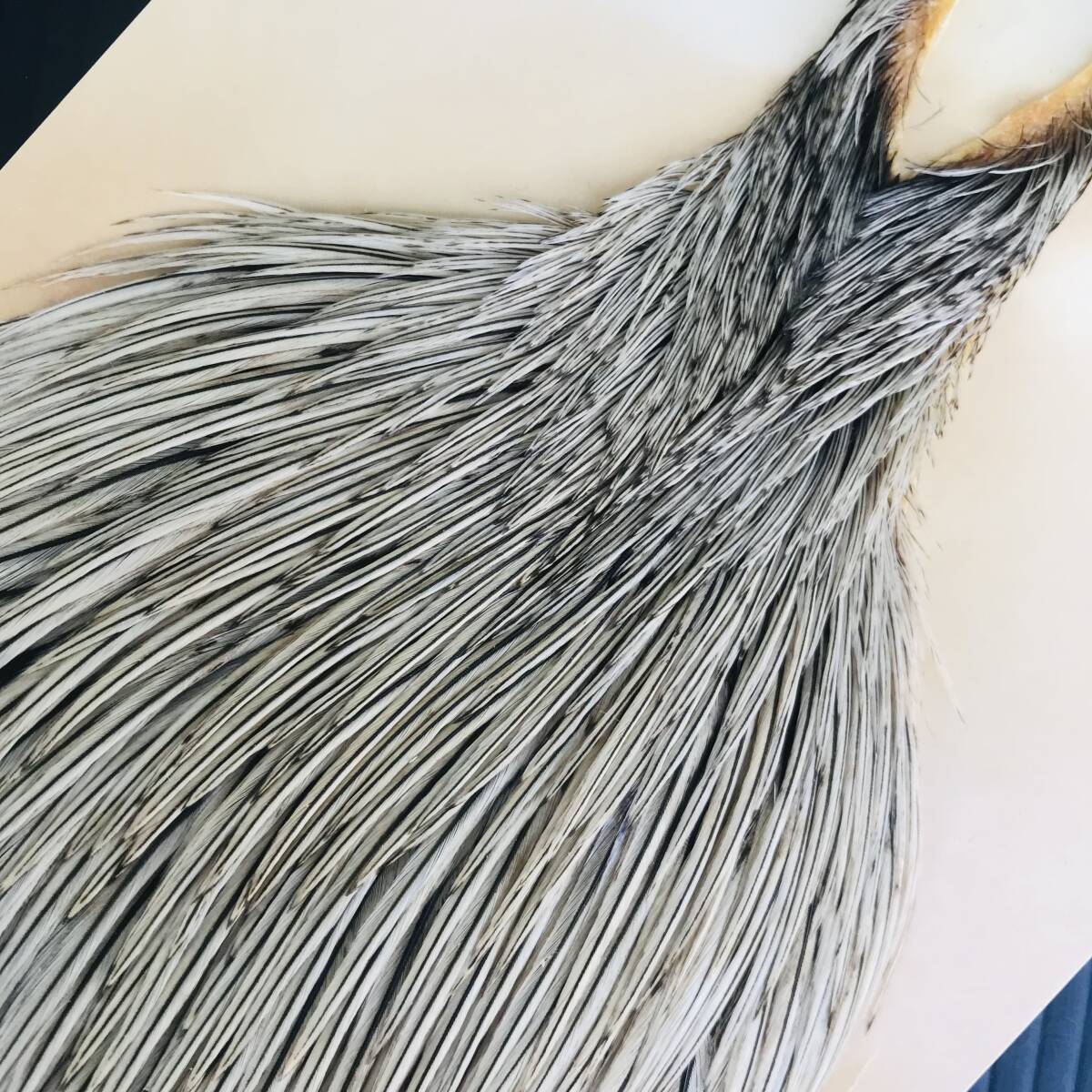HOFFMAN/ホフマン ホワイティング スーパーケープ バジャー WHITING
