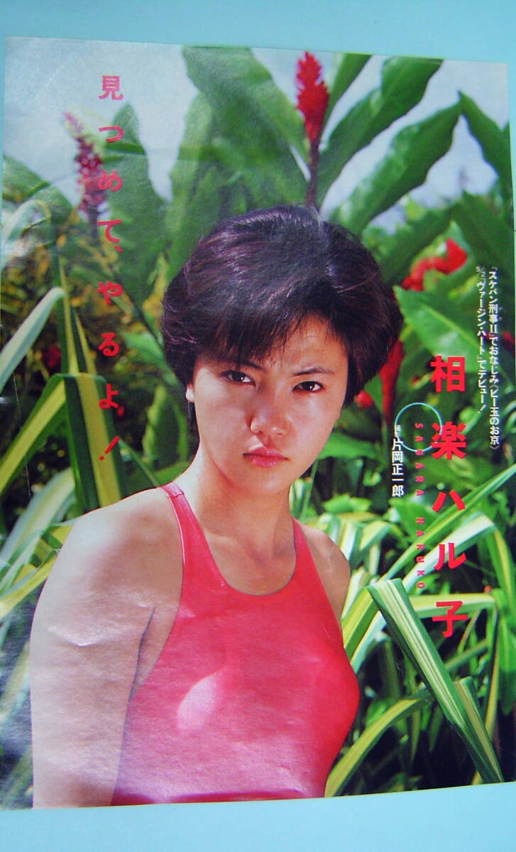 相楽 晴子 ヌード