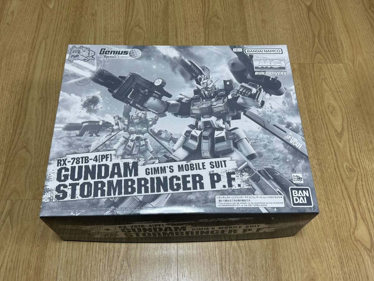 新品未開封 ＭＧ 1/100 ガンダムストームブリンガー Ｐ.Ｆ. ガンダムビルドダイバーズ Genius HesdLine_1