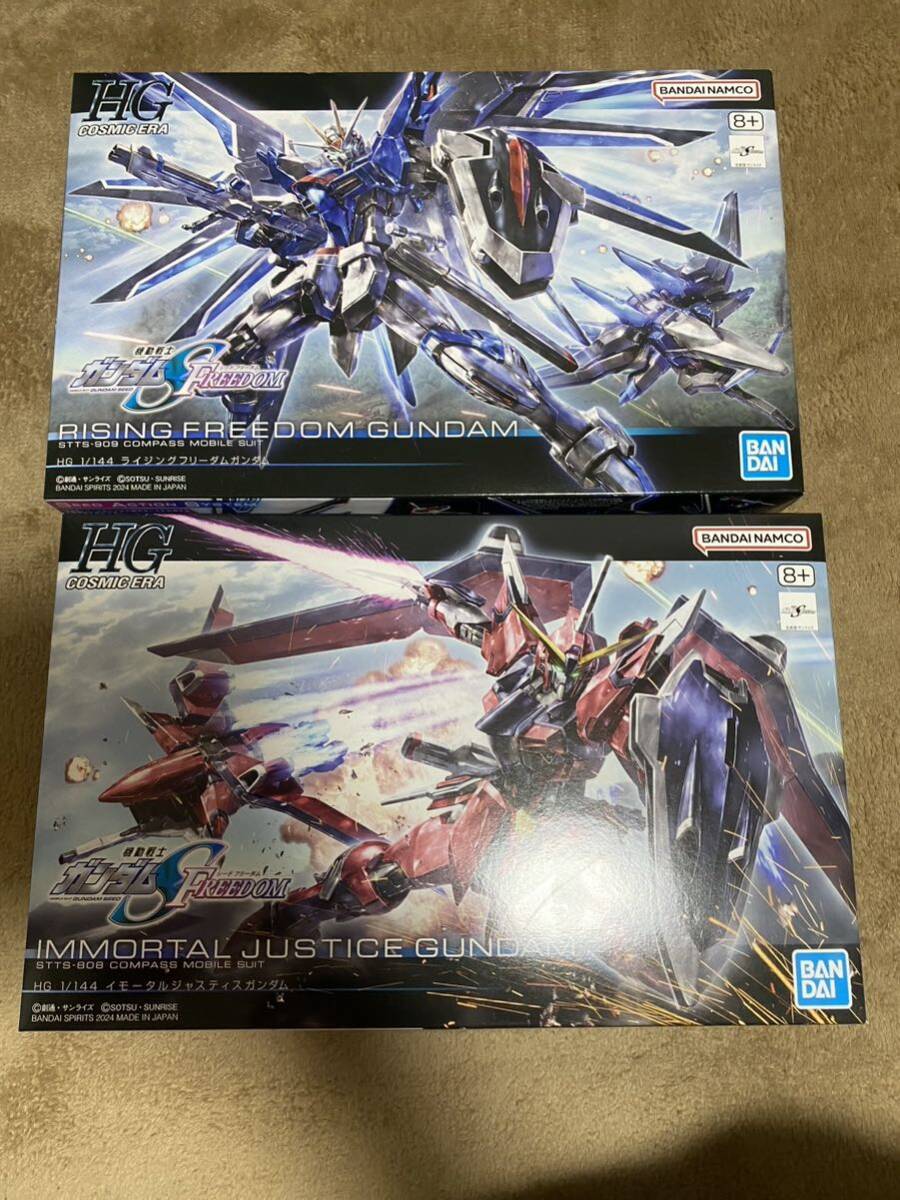 未組立 新品】HG ライジング フリーダム ガンダム HG イモータル