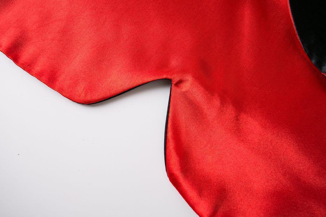 大人気ハロウィン 犬 猫 コスプレ マント ペット ドラキュラ 可愛い 赤_8