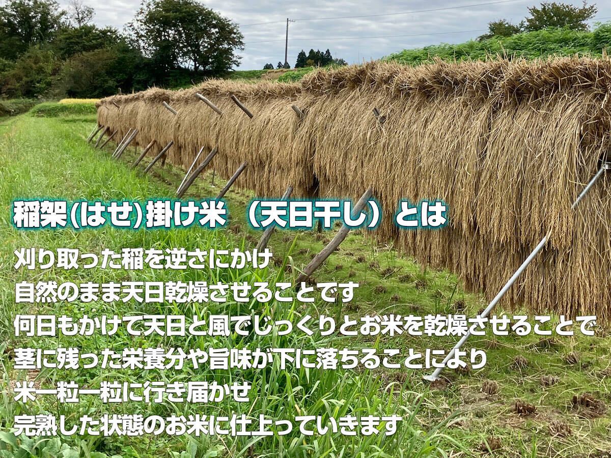 【新米】令和６年度 昔ながらの「稲架(はさ)掛け米」天日干し 岩手県産 ササニシキ 玄米 20Kg 送料無料 !_2
