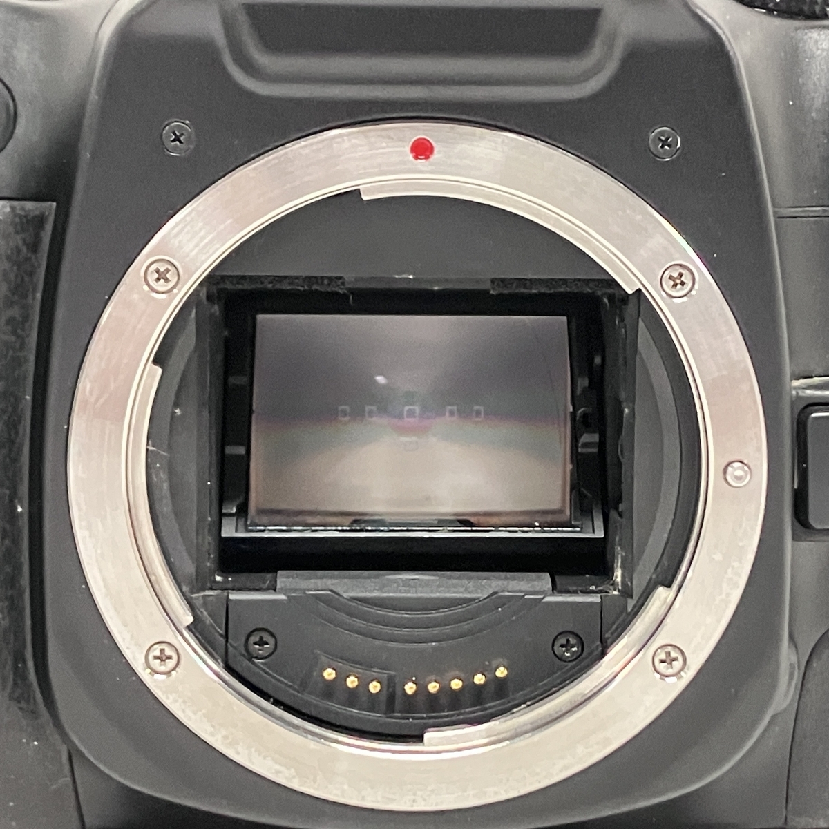 Canon EOS 7 フィルム 一眼 レフ カメラ ボディ キャノン 撮影 
