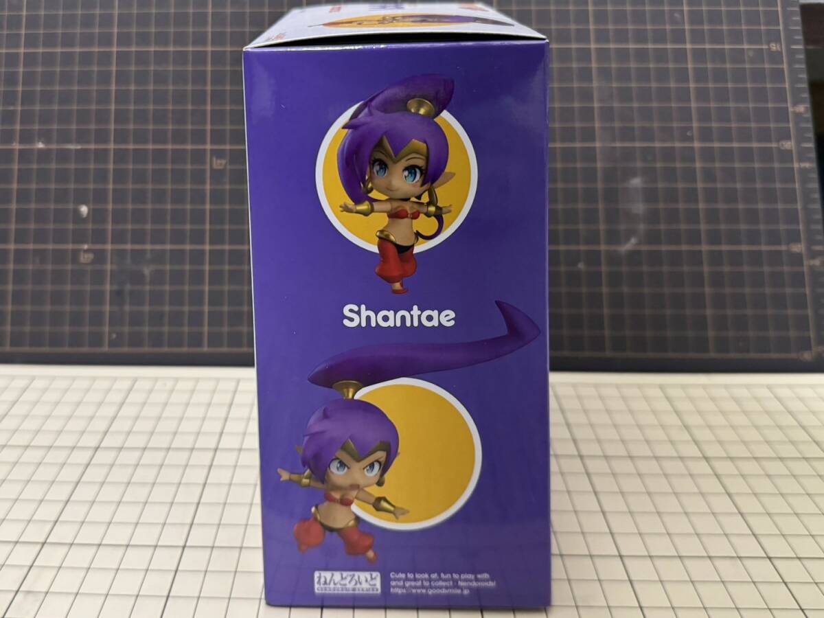 シャンティ ねんどろいど 0 完成品 シャンティ｜グッドスマイル 