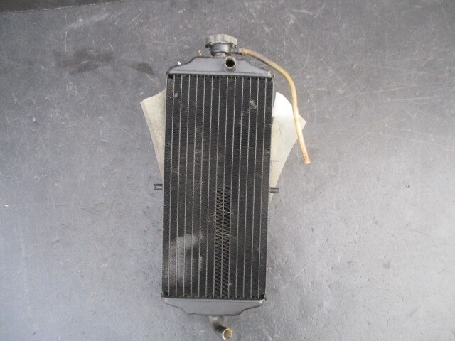 ホンダ HRC RS125R (NF4) ラジエター_2