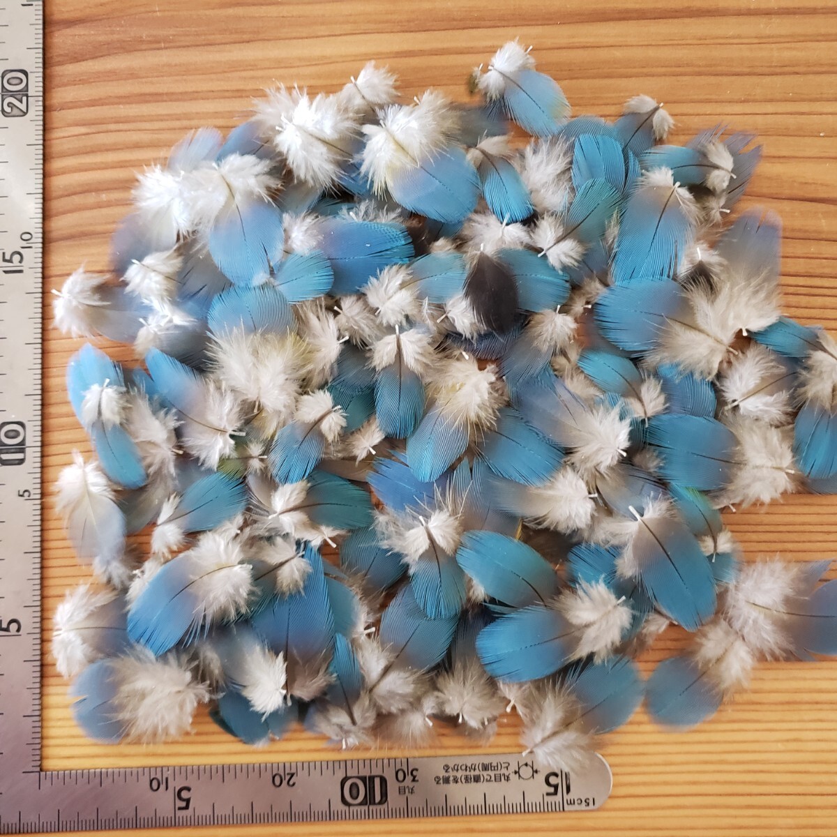 ブルーマコウ　フェザー　②　羽根　フライ　素材_1
