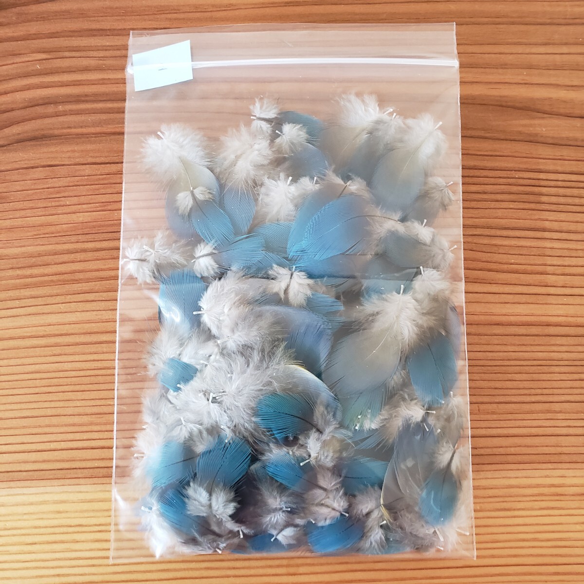 ブルーマコウ　フェザー　②　羽根　フライ　素材_7