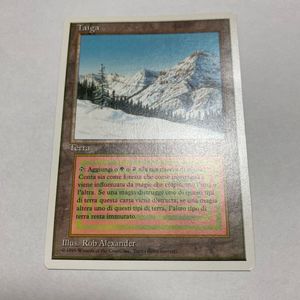 Taiga MTGの値段と価格推移は？｜5件の売買データからTaiga MTGの価値