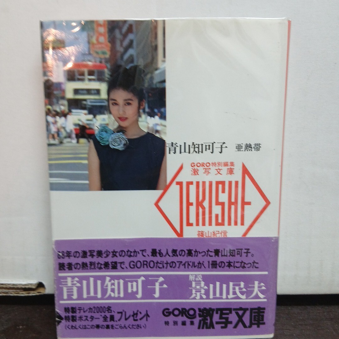 青山知可子 写真集 亜熱帯 激写文庫 篠山紀信 帯付(あ行)｜売買された