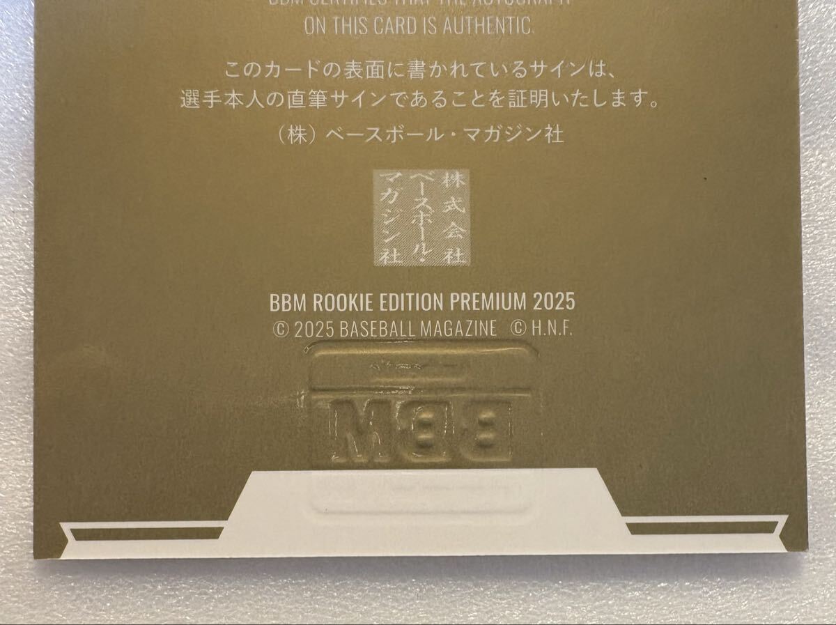 柴田獅子 ルーキーエディションプレミアム 2025 BBM 縦版 直筆サイン 