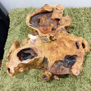 木の根の値段と価格推移は？｜8件の売買データから木の根の価値が