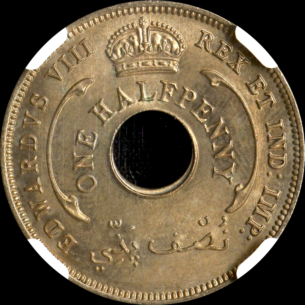 ☆土終【NGC MS63】1936 英領西アフリカ 1/2ペニー エドワード8世 未