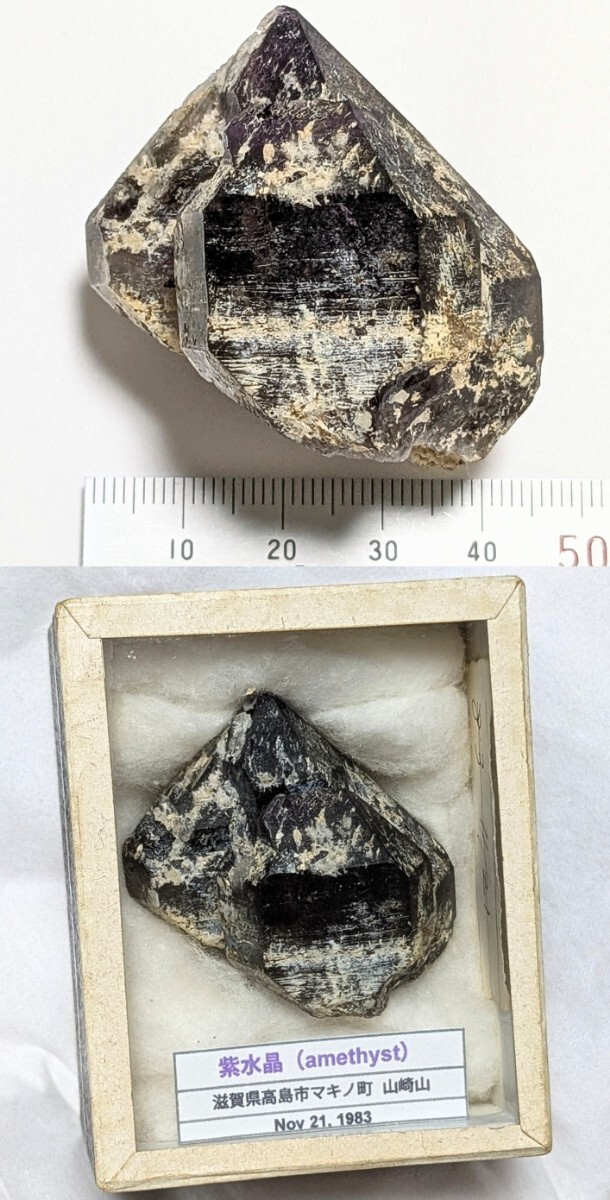 紫水晶 (アメジスト) 国産(滋賀県高島市マキノ町 山崎山) No.559(原石