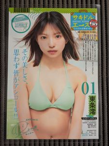 東条澪の値段と価格推移は？｜2件の売買データから東条澪の価値が