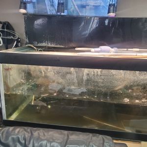 値下げ！大型水槽 ニッソー スライドプラス600 水槽セット 60cm水槽セット | チャーム
