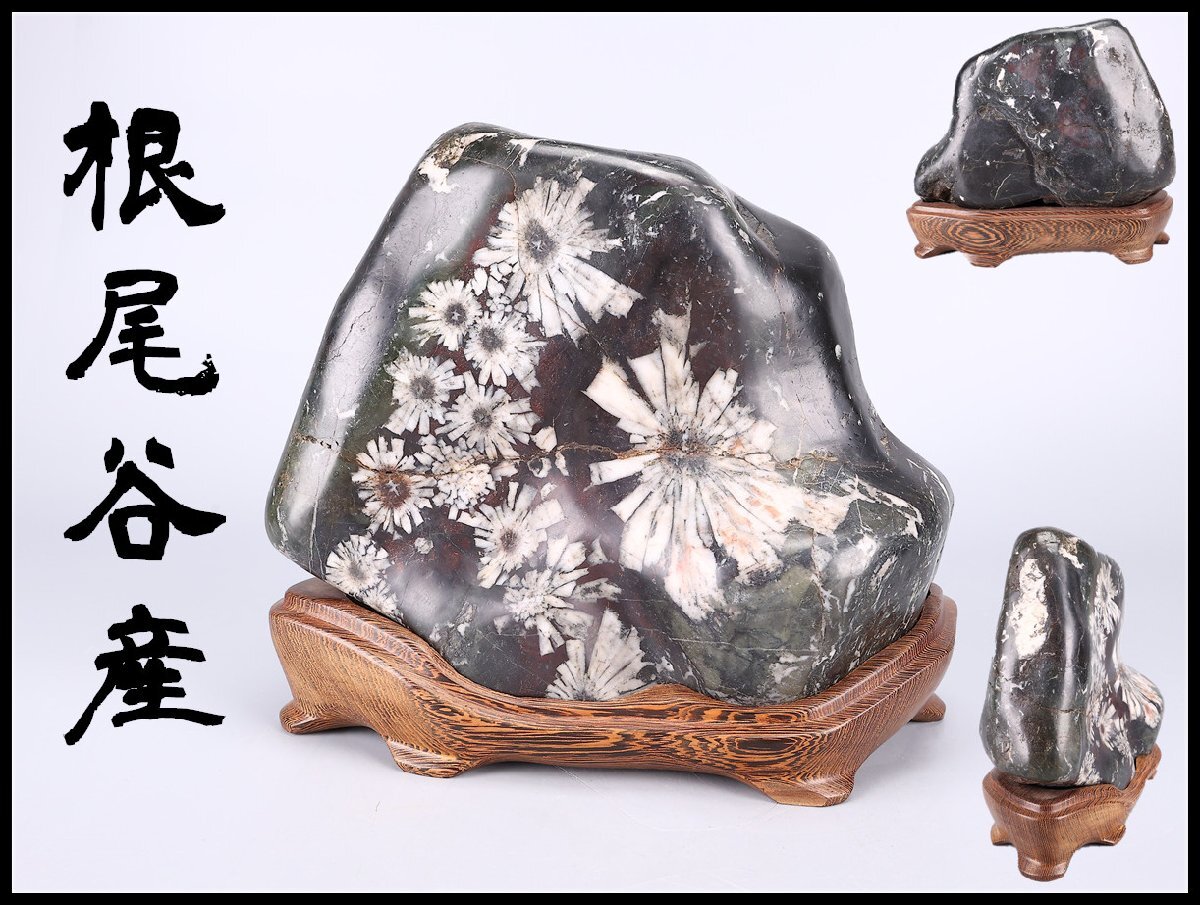 菊花石 岐阜県根尾谷産の値段と価格推移は？｜11件の売買データから