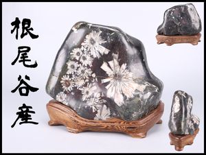 菊花石の値段と価格推移は？｜107件の売買データから菊花石の価値が