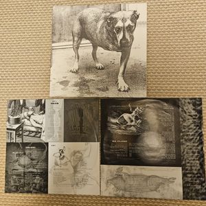 445位 ALICE IN CHAINS/ALICEINCHAINS C2 67248 アリスインチェインズ original LP アナログ レ