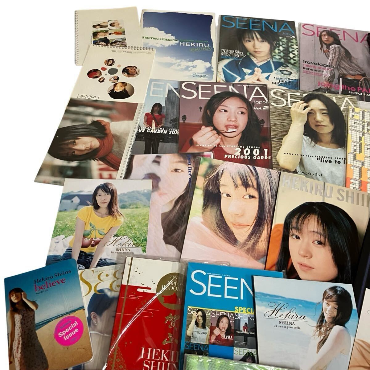 椎名へきる コンサート ライブ パンフレット など 大量まとめ HEKIRU