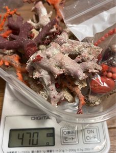 珊瑚 原木の値段と価格推移は？｜167件の売買データから珊瑚 原木の