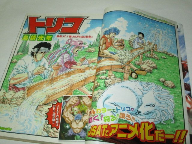 少年ジャンプ2009 No.34 ナルト 綴じ込み小冊子付/ わっしょい!わじ