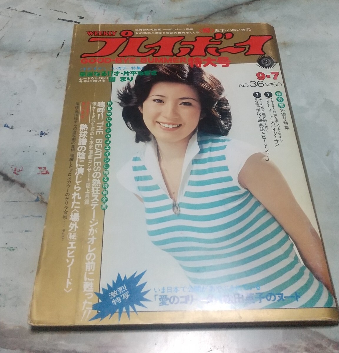 昭和51年 週刊プレイボーイの値段と価格推移は？｜13件の売買データ