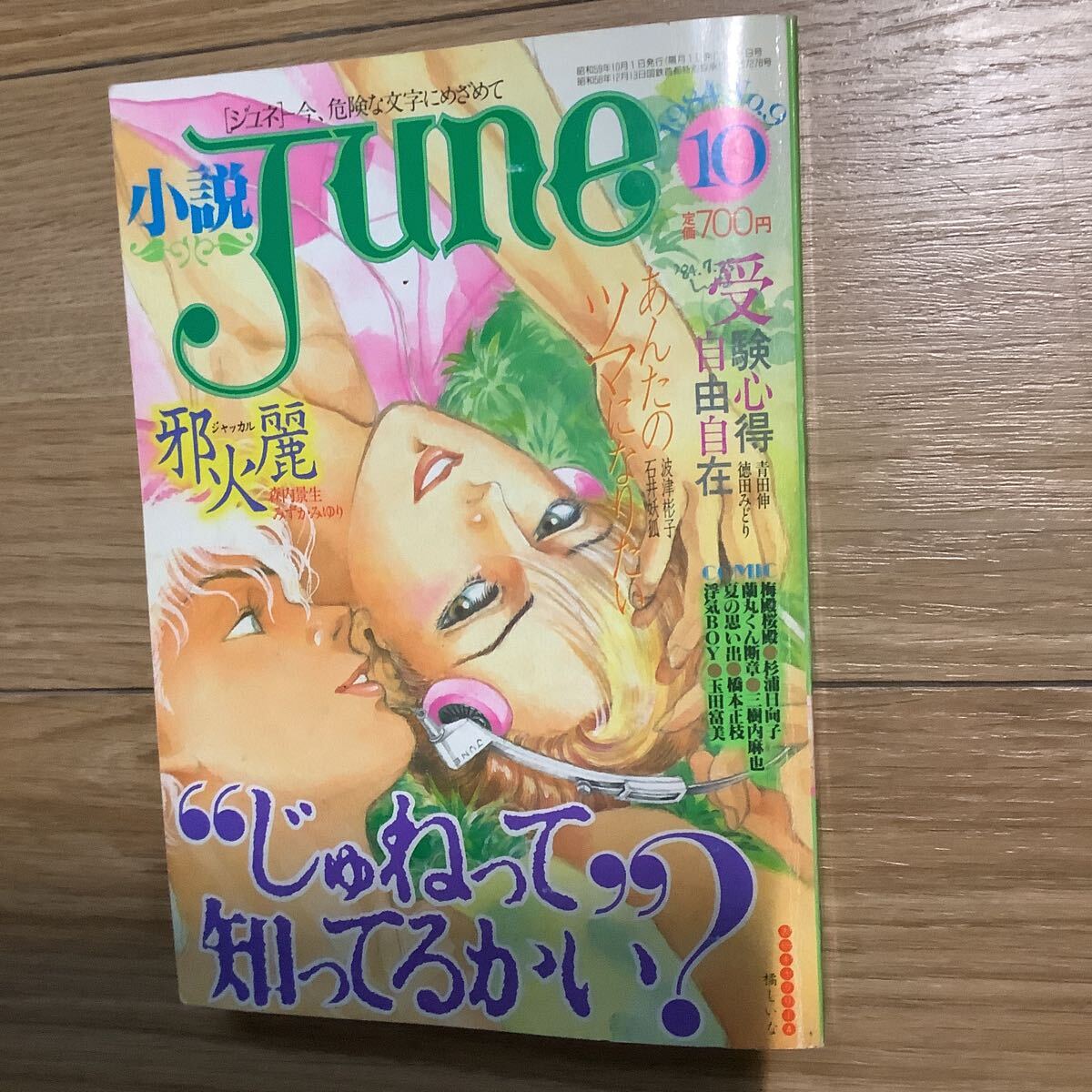 小説JUNEの値段と価格推移は？｜3件の売買データから小説JUNEの価値が