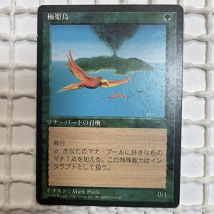 MTG 極楽鳥　第4版日本語黒枠 極楽鳥 MTGの値段と価格推移は？｜6件の売買データから極楽鳥 MTGの