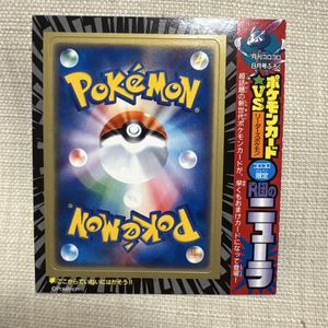 R団のニューラの値段と価格推移は？｜33件の売買データからR団の