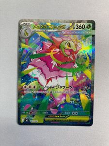 メガニウム ポケモンカードの値段と価格推移は？｜204件の売買データ